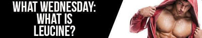 What Wednesday: What Is Leucine?