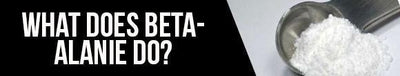What Wednesday: What is Beta-Alanine