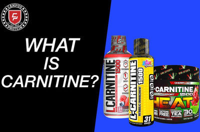 CARNITINE Supplements Fully Explained