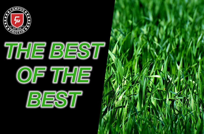 Best Vegan Protein Powder Supplements 2020