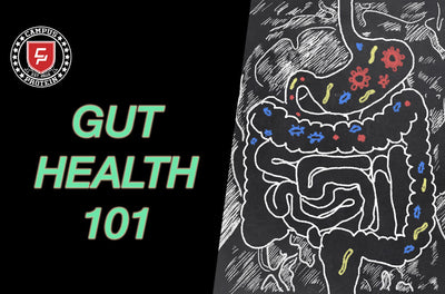 Why Is Gut Health So Important and How You Can Improve Gut Health