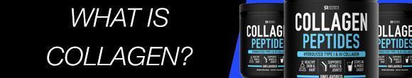What is Collagen?