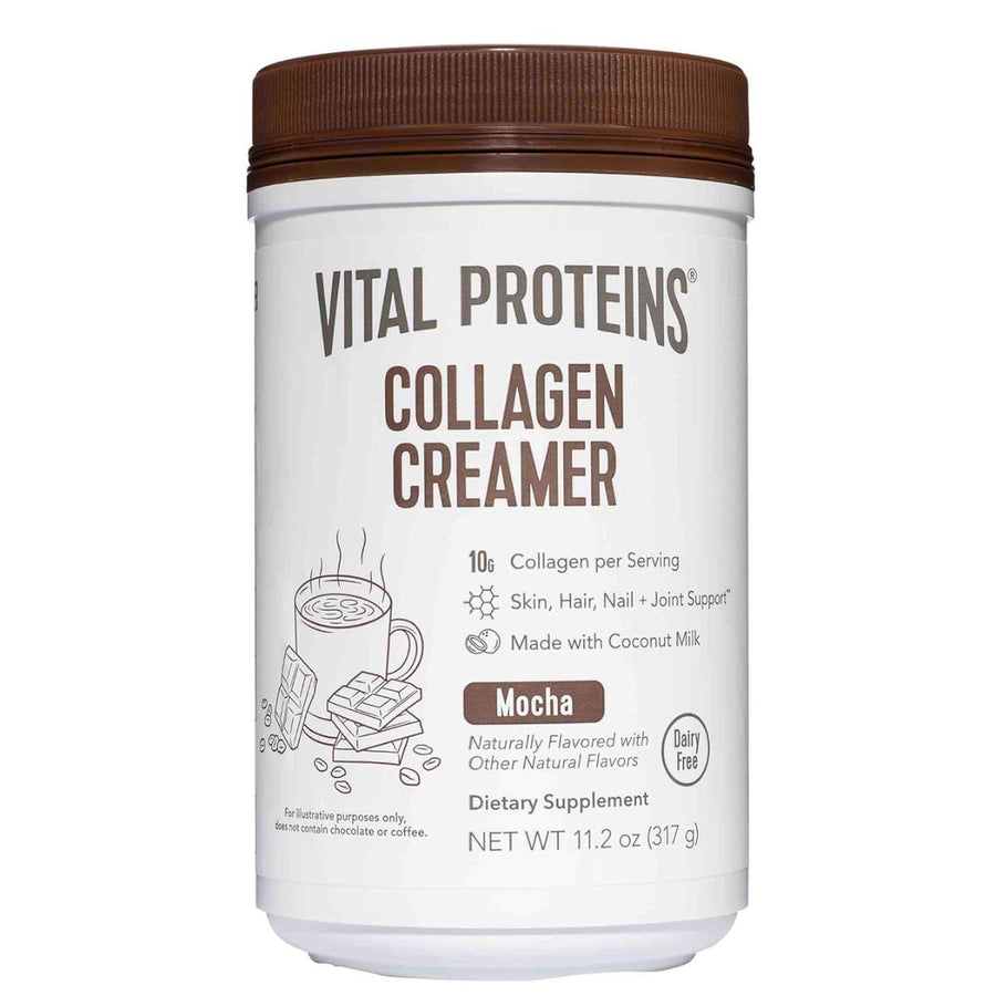 Vital Proteins Collagen Creamer Collagen Vital Proteins Size: 12 Servings Flavor: Mocha